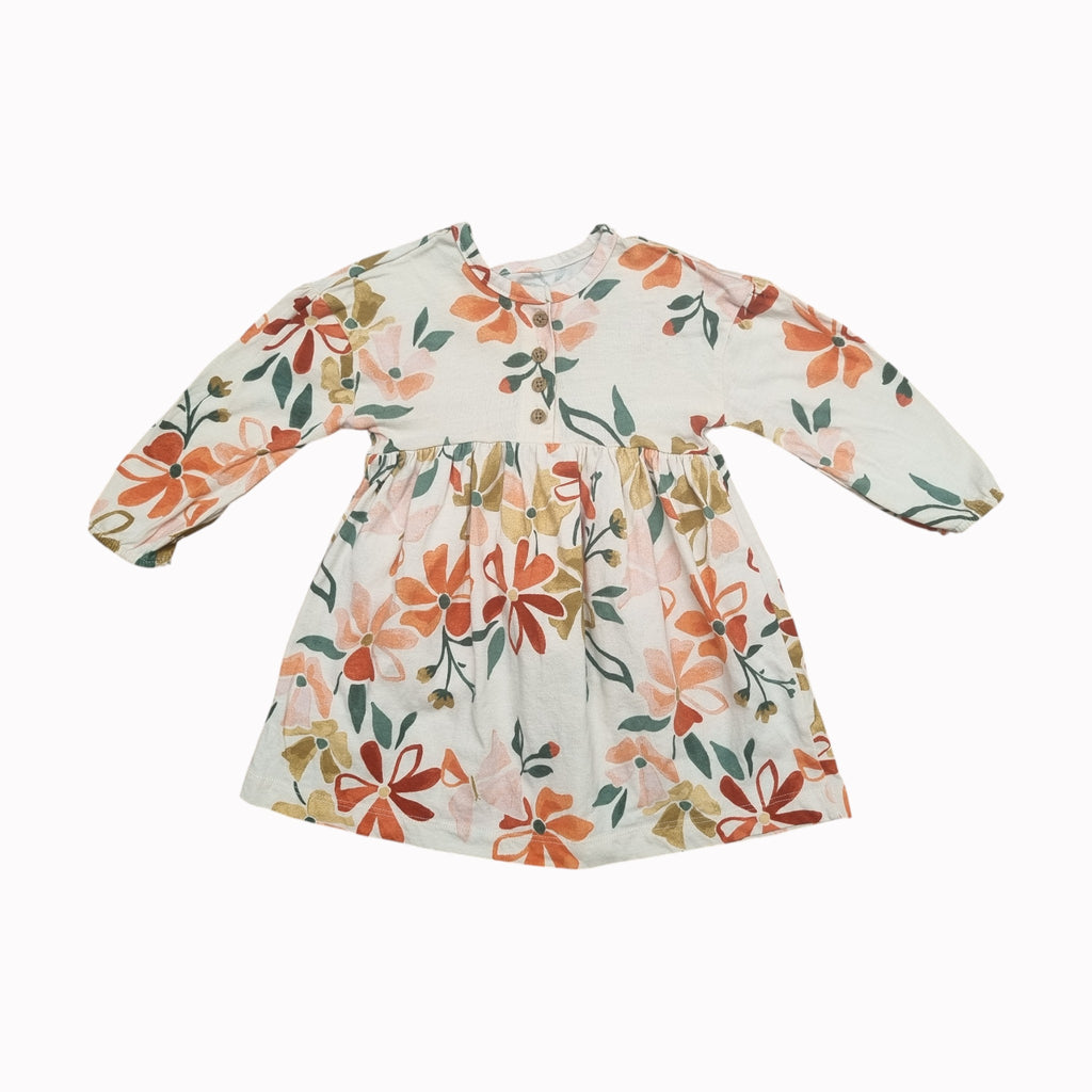 12M Carter's Dress - Long Sleeve