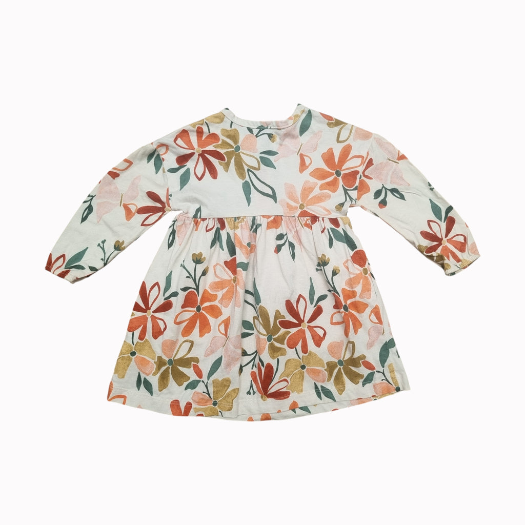12M Carter's Dress - Long Sleeve
