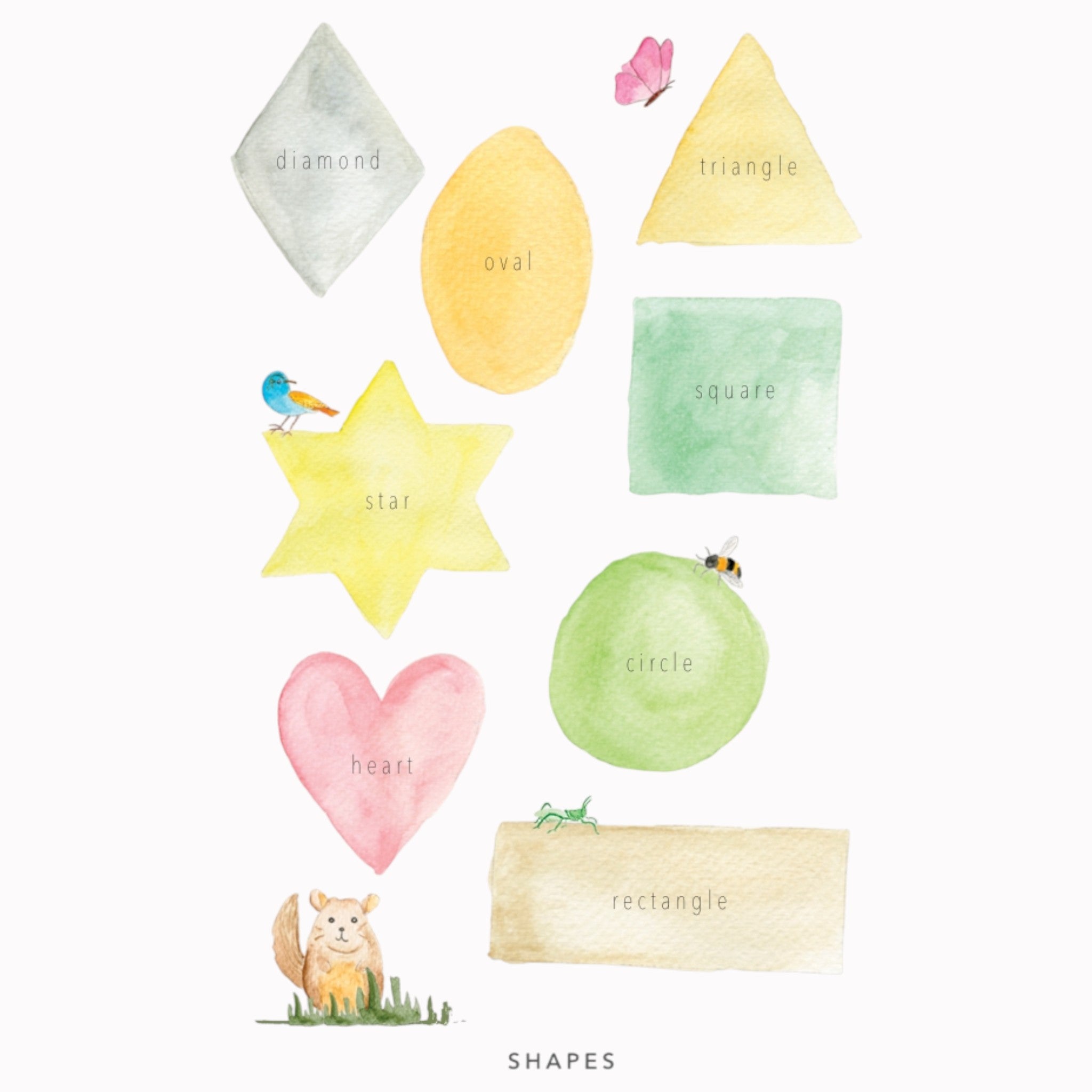 Educational Poster - Shapes