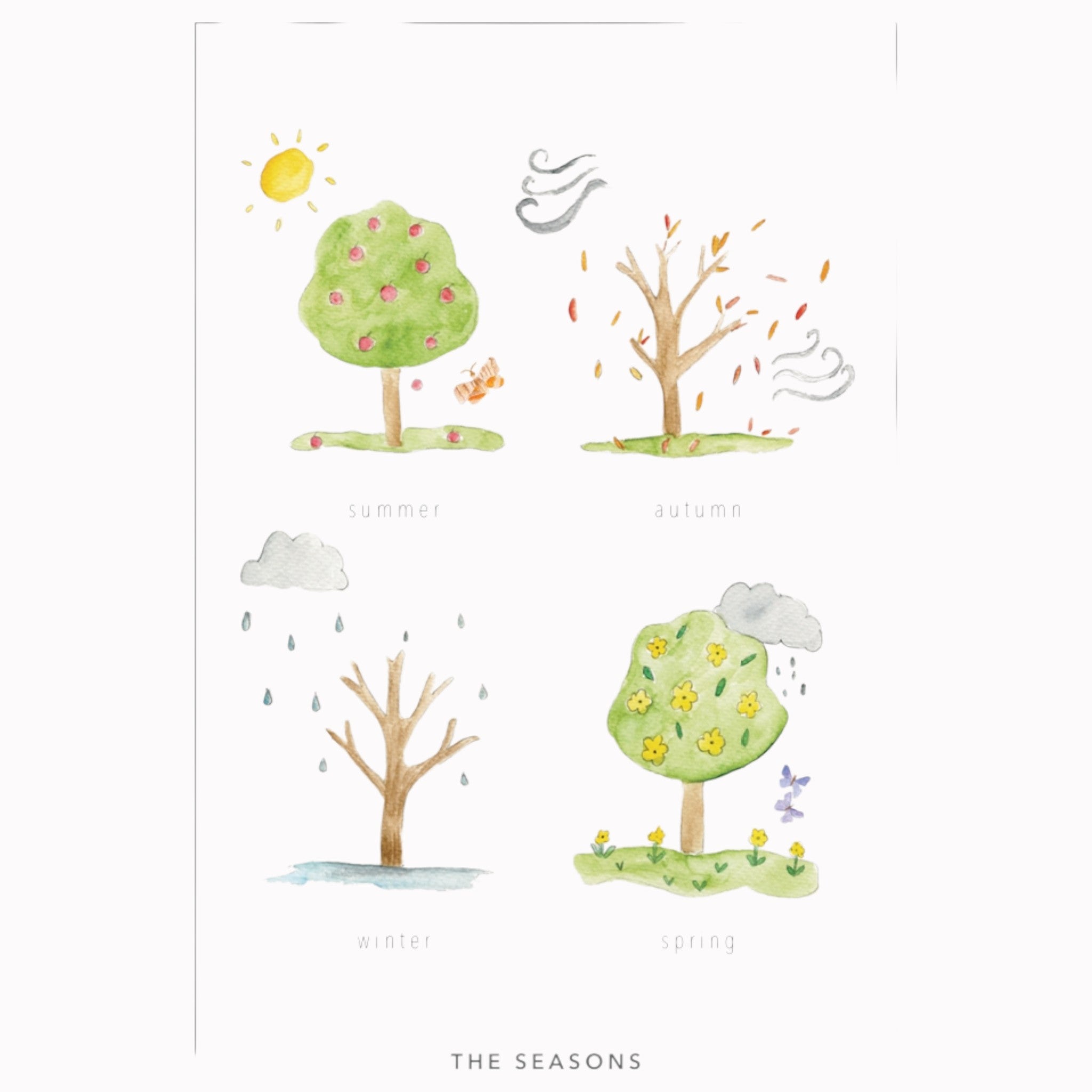 Educational Poster - The Seasons