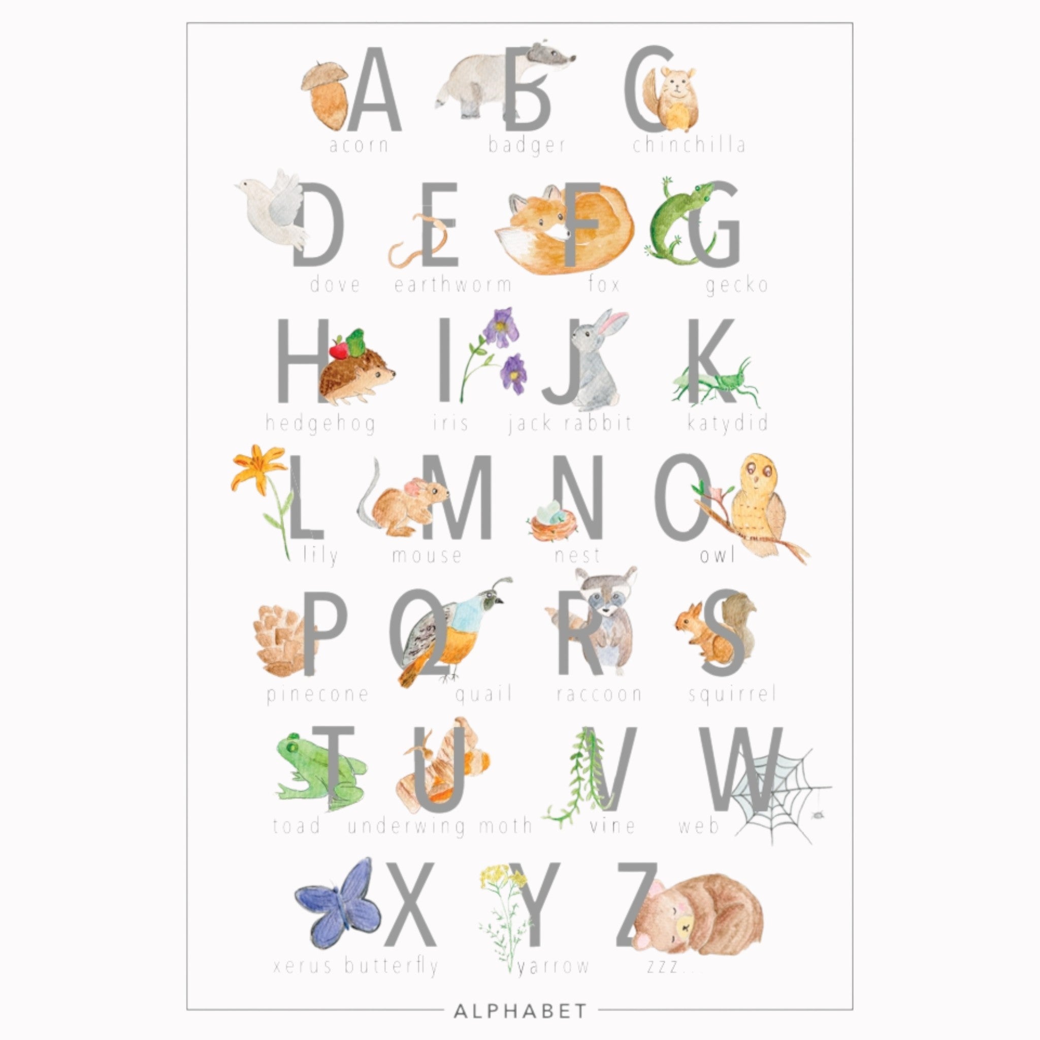 Educational Poster - Alphabet