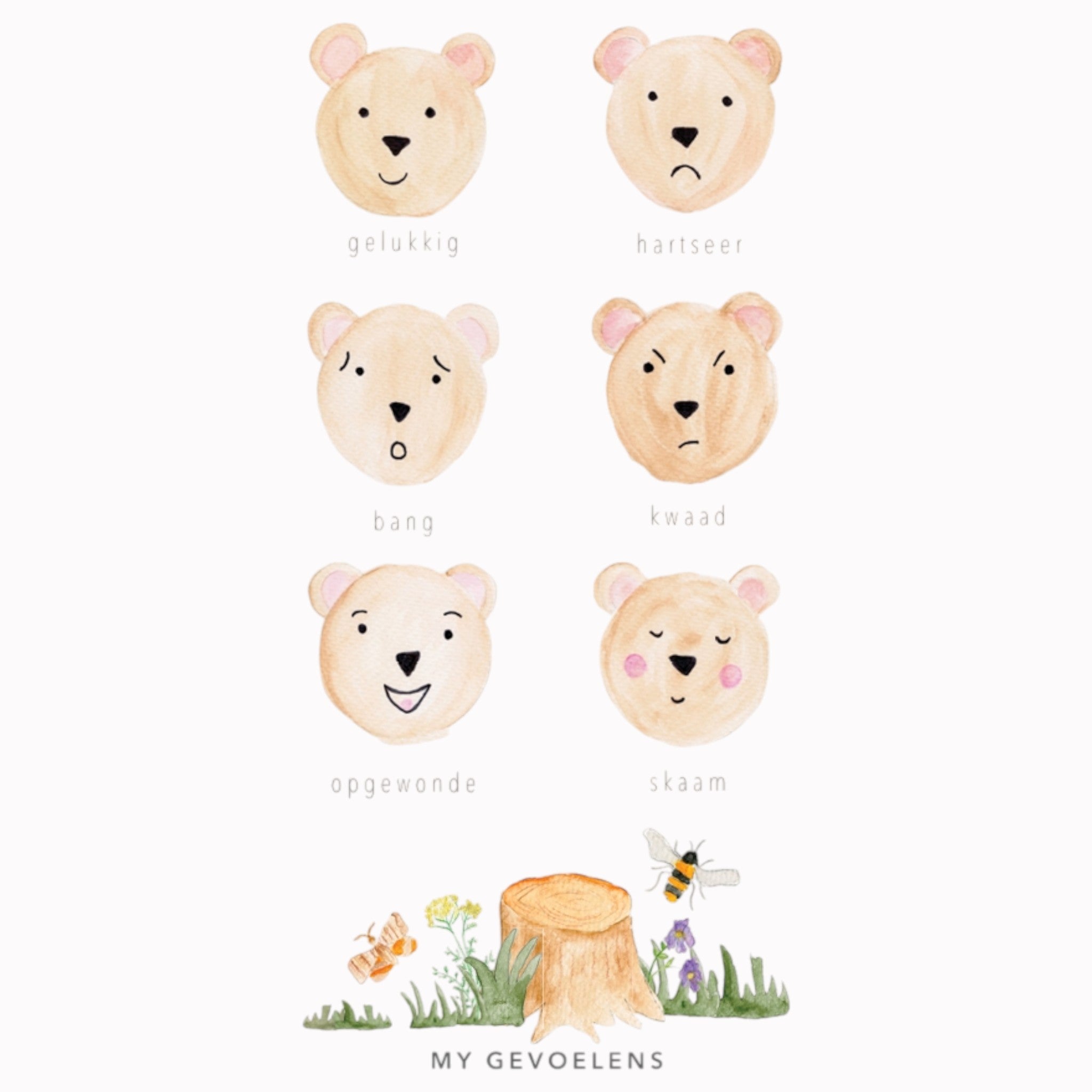 Educational Poster - My gevoelens