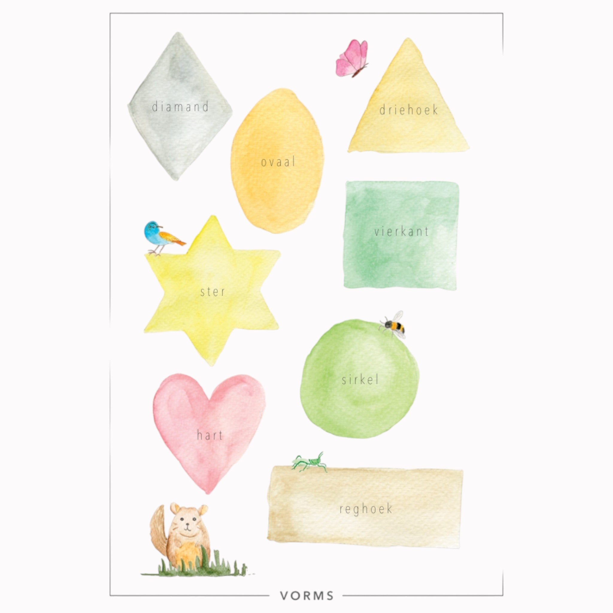 Educational Poster - Vorms