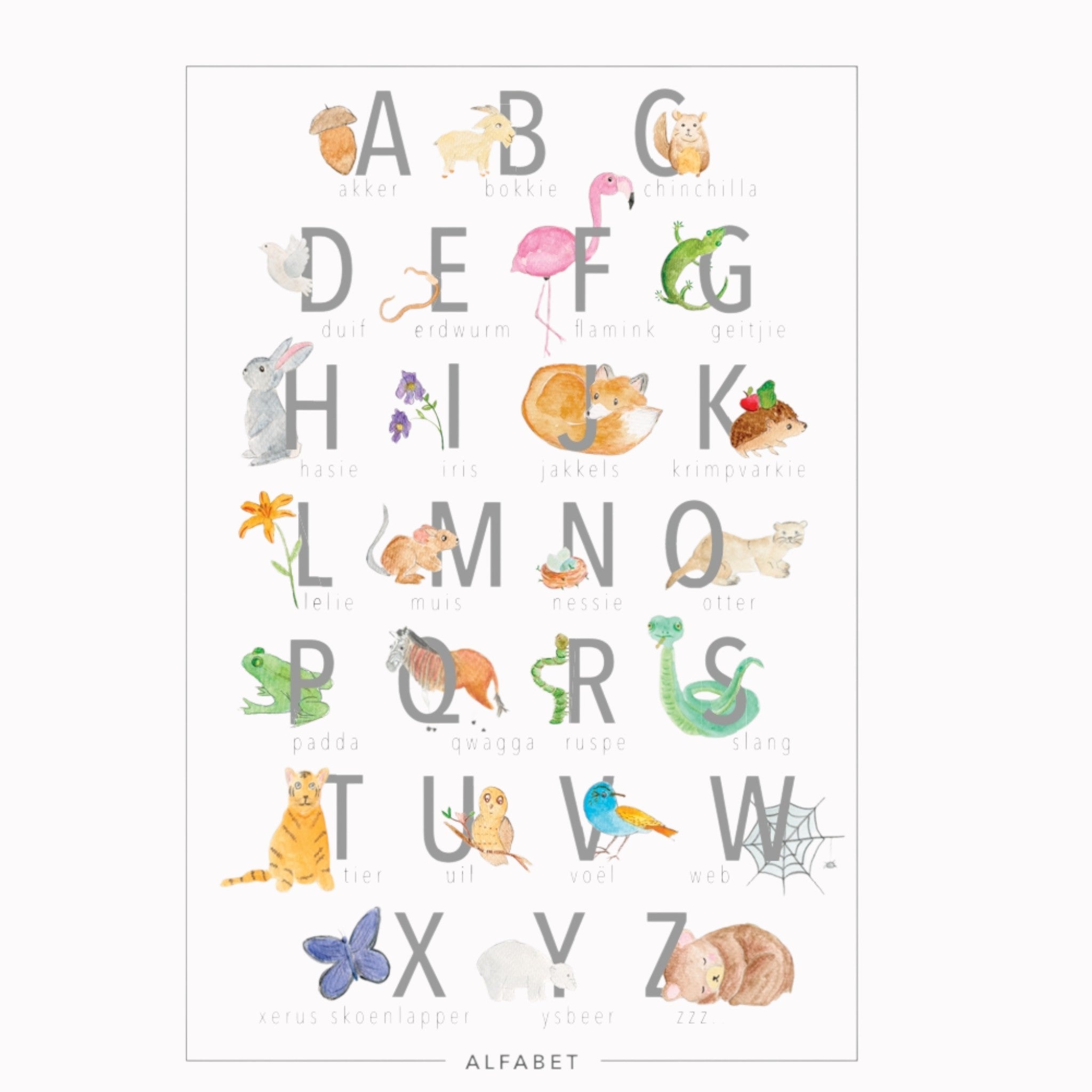 Educational Poster - Alfabet